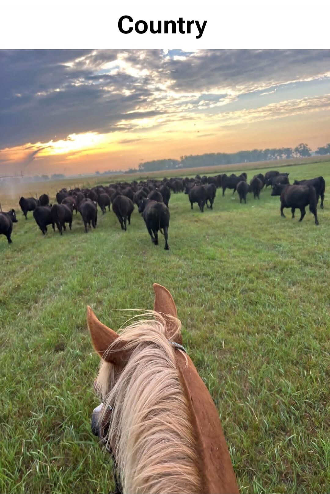 Country