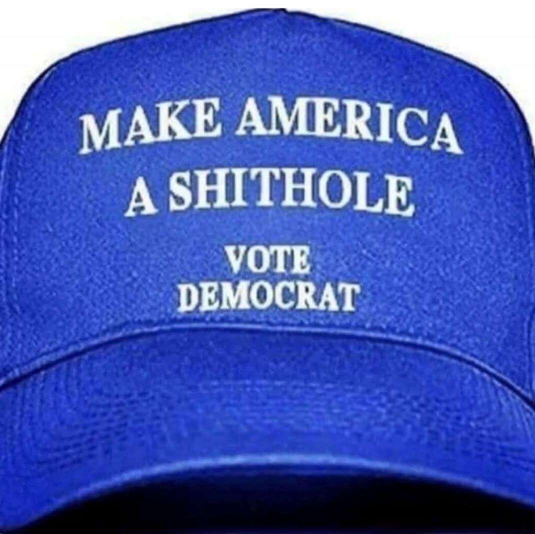 MAKE AMERICA A SHITHOLE VOTE DEMOCRAT