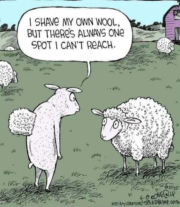 SHAVE MY OWN WOOL 3 BUT THERES ALWAYG ONe SPOT CANT ReACH 2