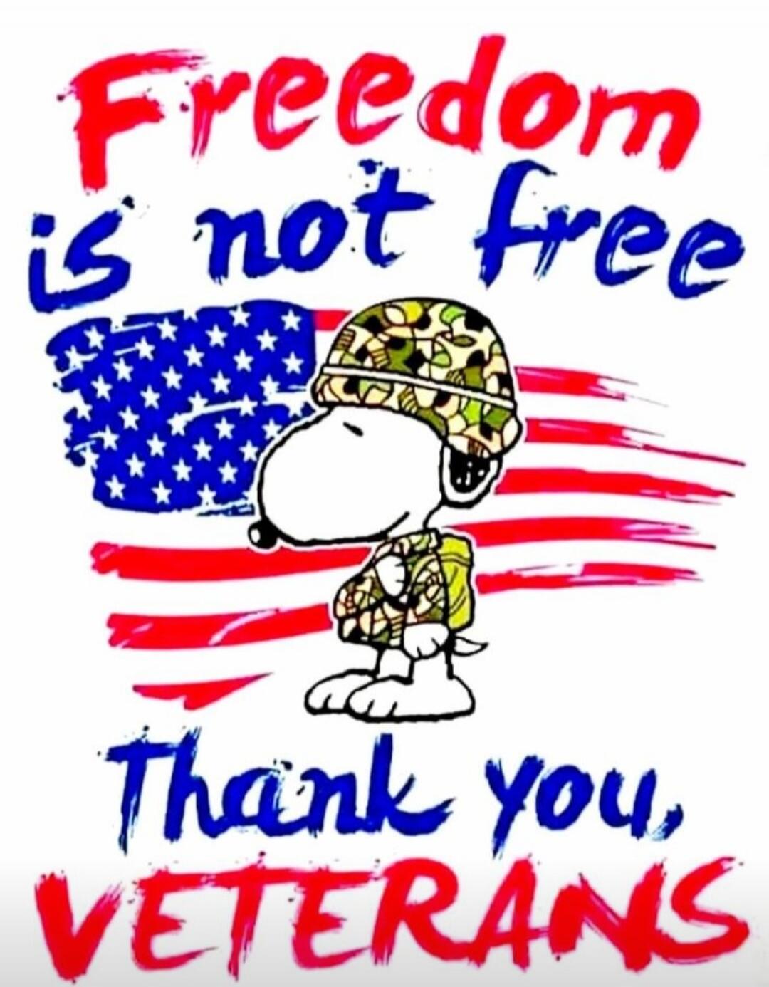 Freedom is not free. Thank you, VETERANS.
