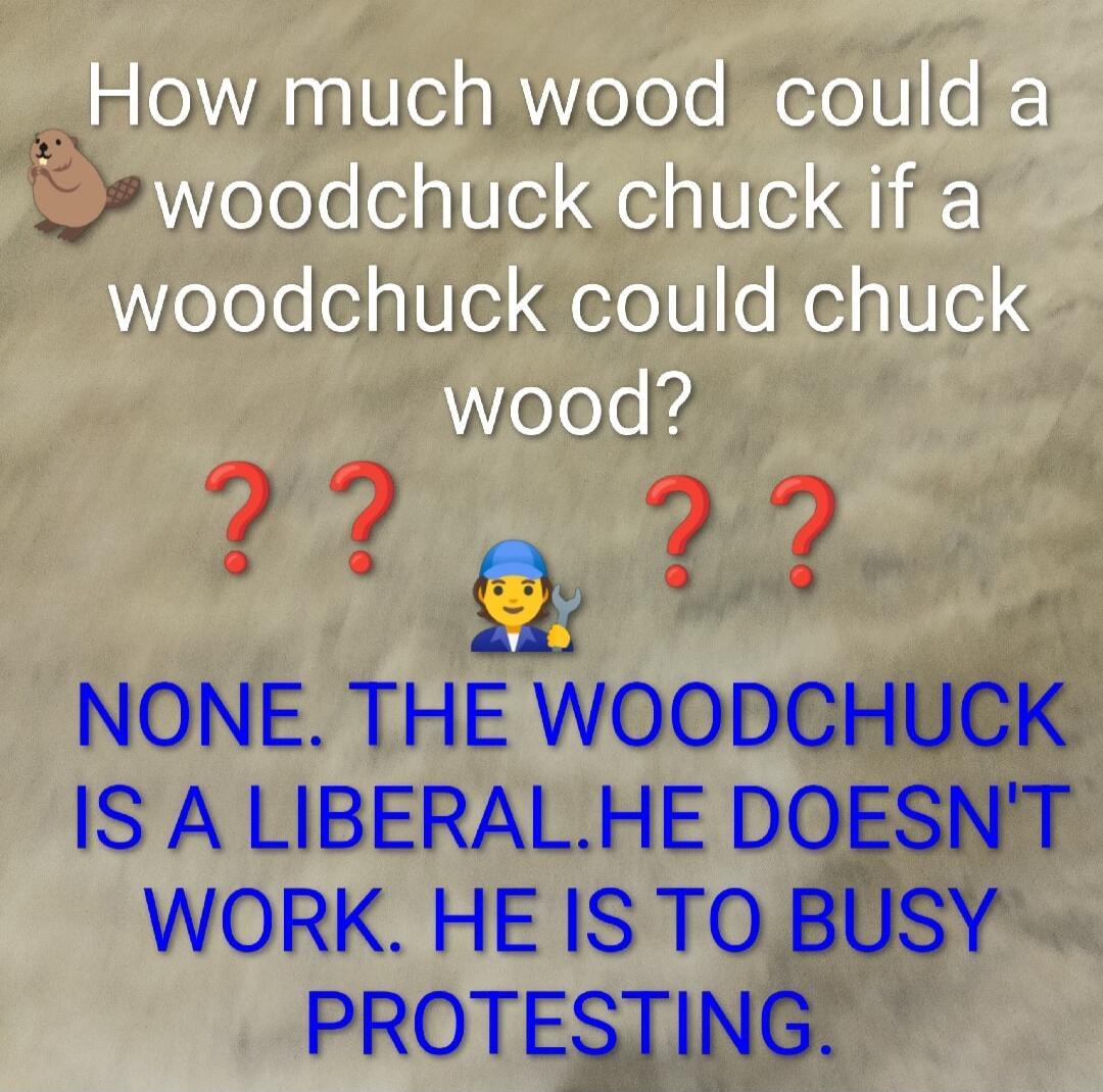 How much wood could a woodchuck chuck if a woodchuck could chuck wood?

NONE. THE WOODCHUCK IS A LIBERAL. HE DOESN'T WORK. HE IS TO BUSY PROTESTING.