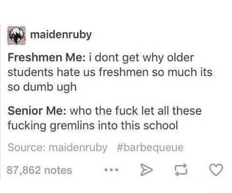 8 maidenruby Freshmen Me i dont get why older students hate us freshmen so much its so dumb ugh Senior Me who the fuck let all these fucking gremlins into this school Source maidenruby barbequeue 87862 notes CJ