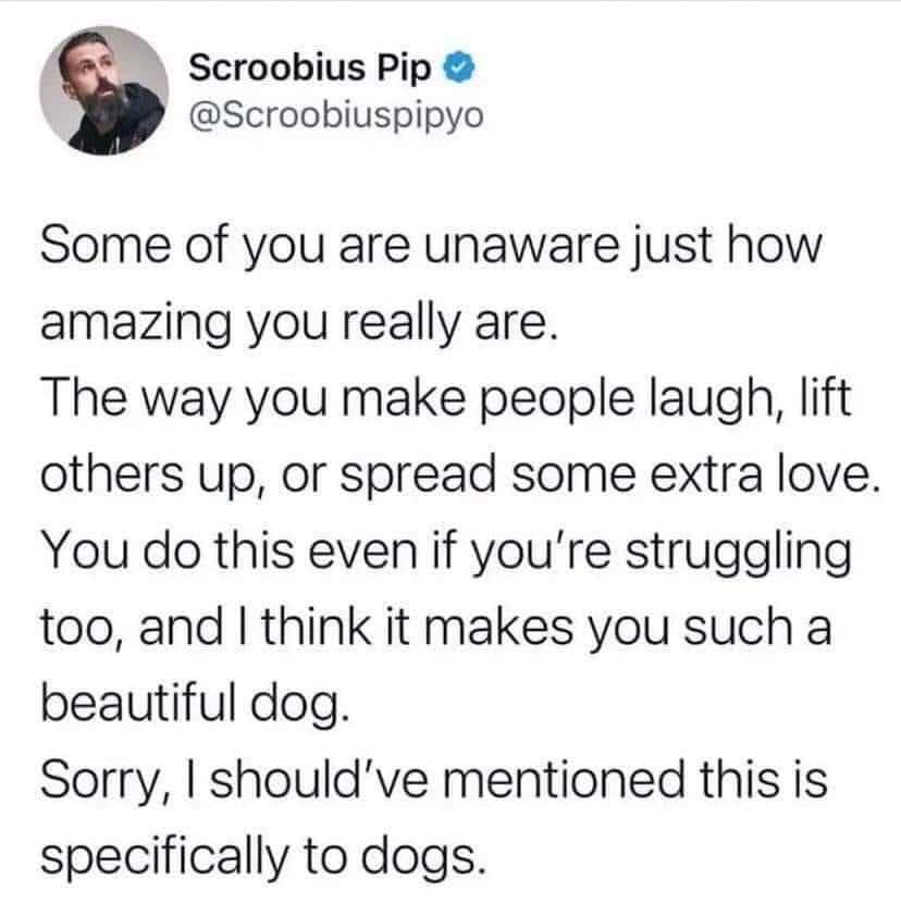 f Scroobius Pip Scroobiuspipyo Some of you are unaware just how amazing you really are The way you make people laugh lift others up or spread some extra love You do this even if youre struggling too and think it makes you such a beautiful dog Sorry shouldve mentioned this is specifically to dogs