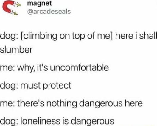 Mmagnet s arcadeseals dog climbing on top of me here i shall slumber me why its uncomfortable dog must protect me theres nothing dangerous here dog loneliness is dangerous