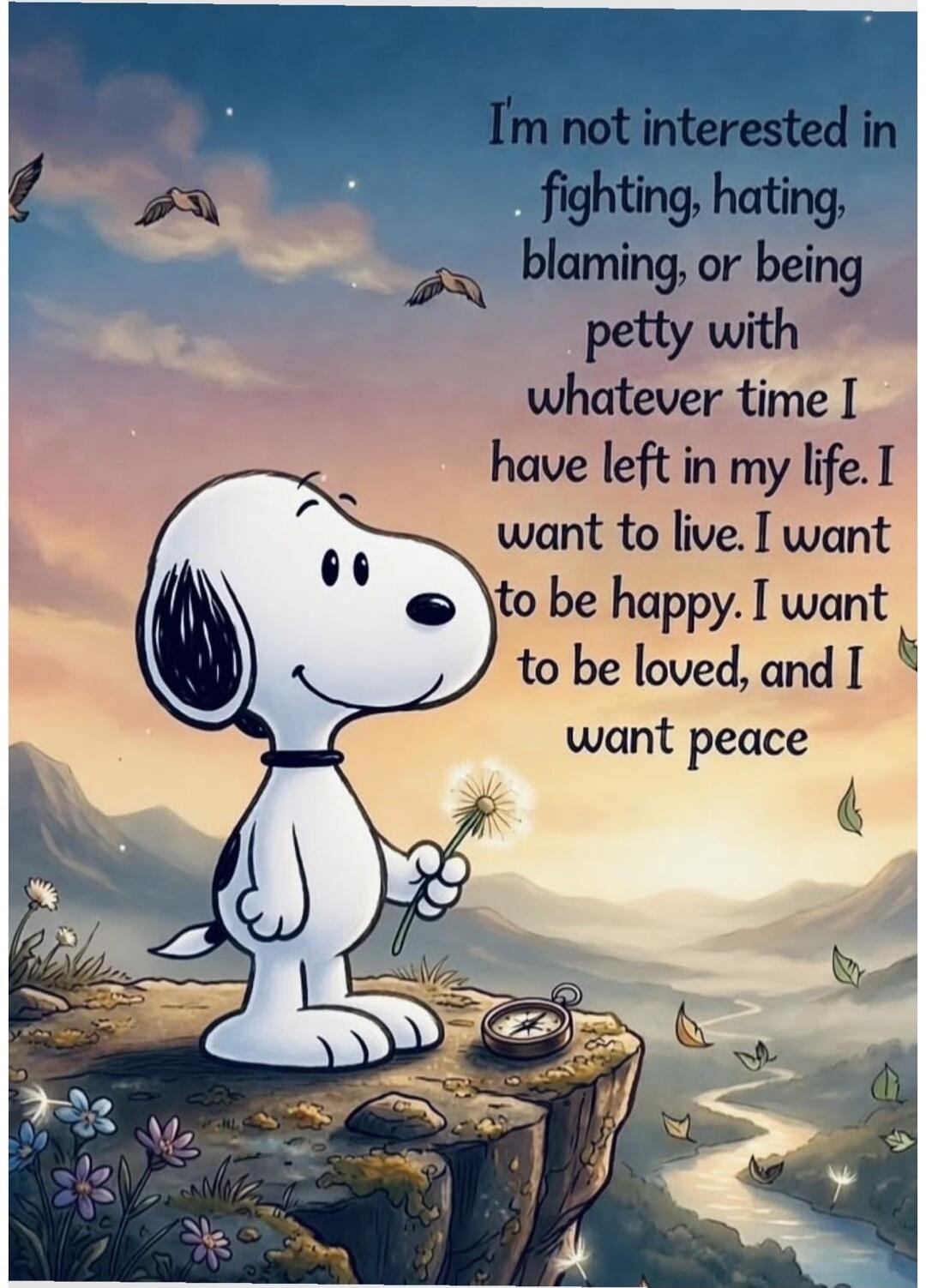 I'm not interested in fighting, hating, blaming, or being petty with whatever time I have left in my life. I want to live. I want to be happy. I want to be loved, and I want peace.