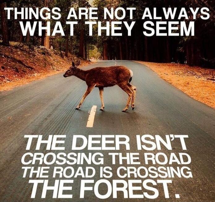 THINGS ARE NOT ALWAYS WHAT THEY SEEM
THE DEER ISN'T CROSSING THE ROAD
THE ROAD IS CROSSING THE FOREST.
