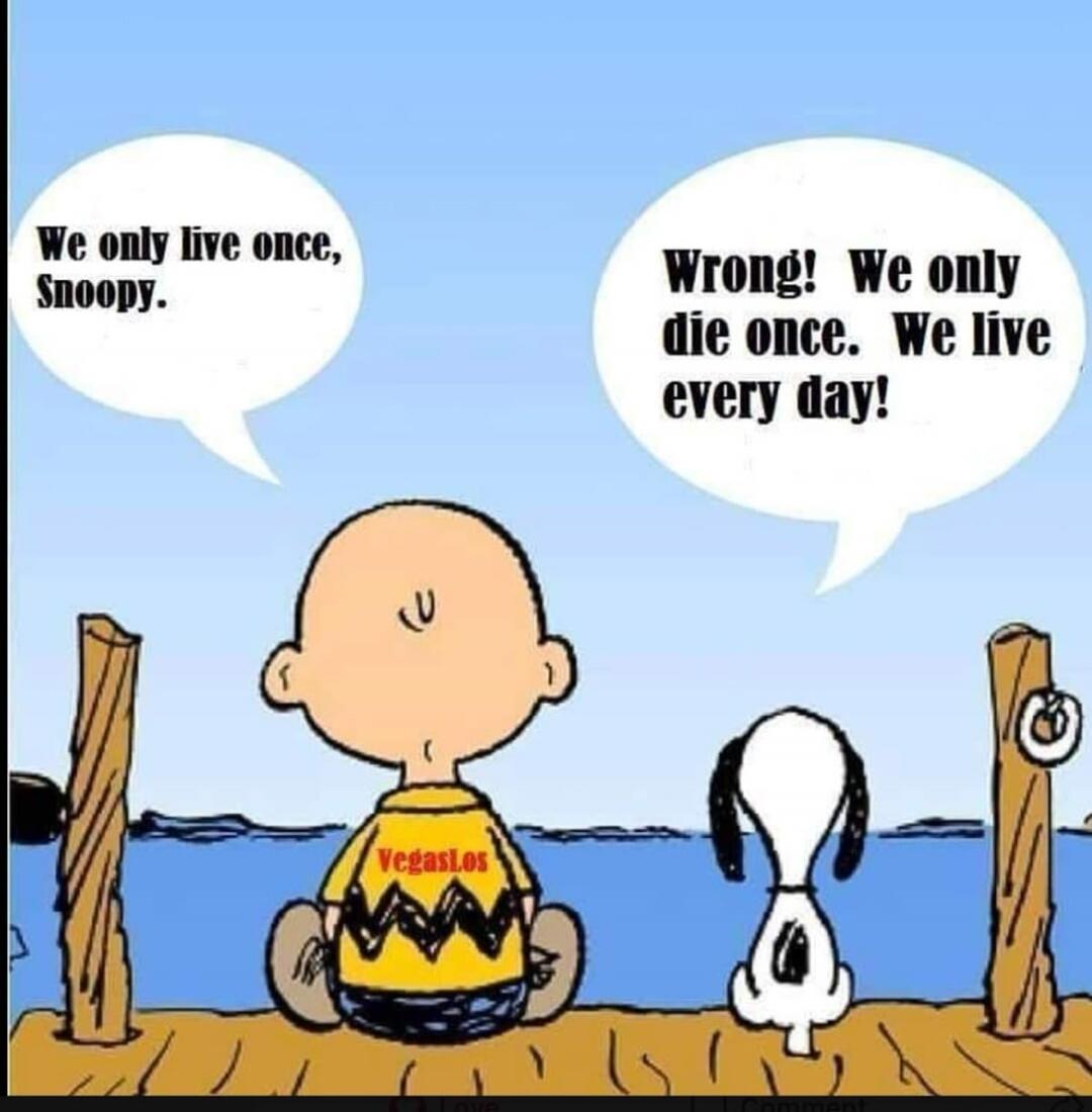 We only live once, Snoopy. Wrong! We only die once. We live every day!