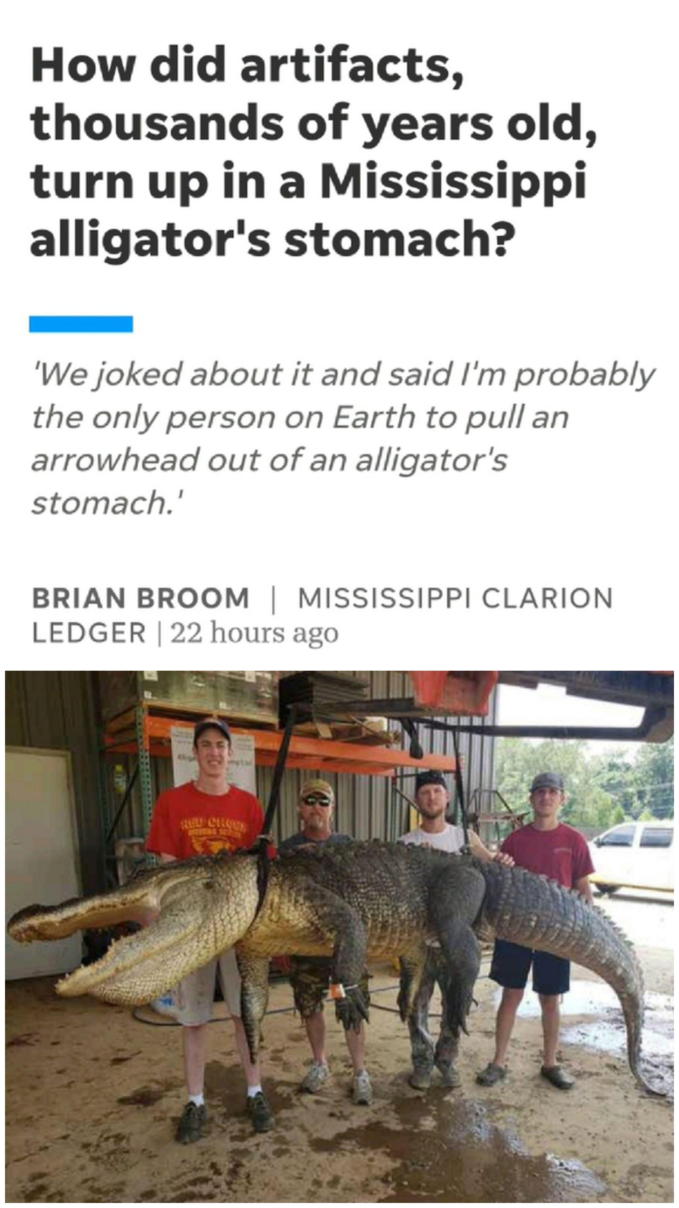 How did artifacts thousands of years old turn up in a Mississippi alligators stomach We joked about it and said Im probably the only person on Earth to pull an arrowhead out of an alligators stomach BRIAN BROOM MISSISSIPPI CLARION LEDGER 22 hours ago