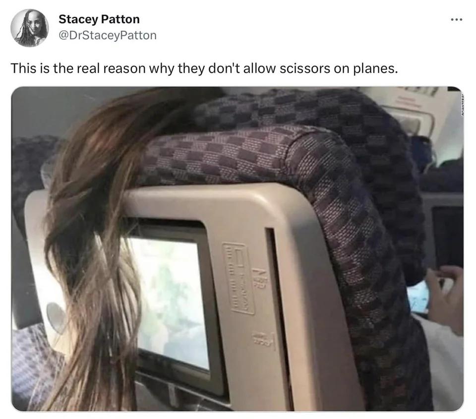 Stacey Patton DrStaceyPatto This is the real reason why they dont allow scissors on planes