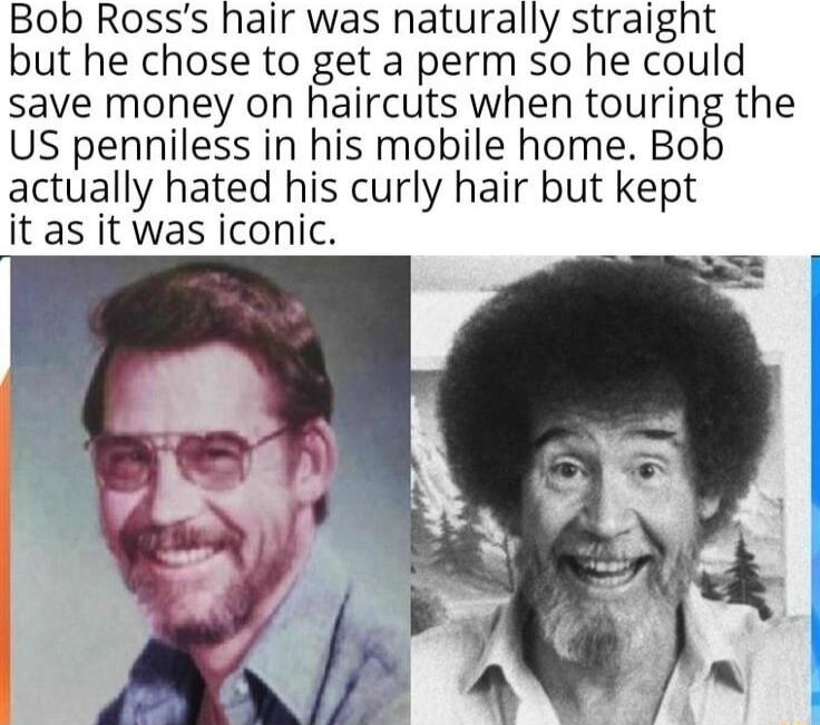Bob Rosss hair was naturally straight but he chose to get a perm so he could save money on haircuts when touring the US penniless in his mobile home Bo actually hated his curly hair but kept it as it was iconic