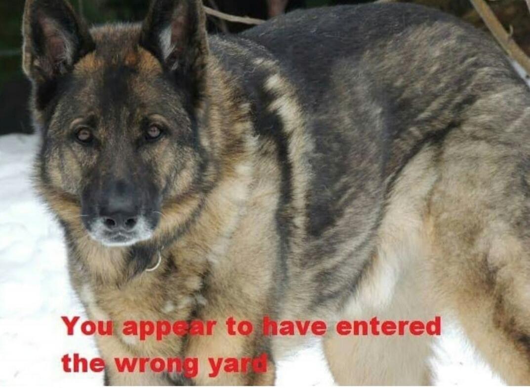 You appear to have entered the wrong yard