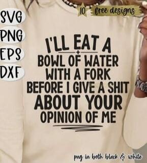 I'LL EAT A BOWL OF WATER WITH A FORK BEFORE I GIVE A SHIT ABOUT YOUR OPINION OF ME