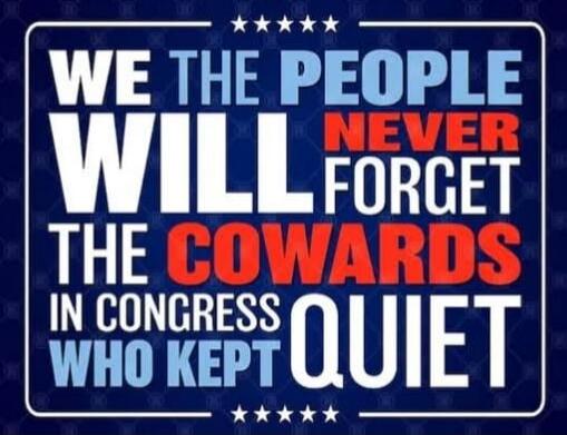 WE THE PEOPLE WILL NEVER FORGET THE COWARDS IN CONGRESS WHO KEPT QUIET
