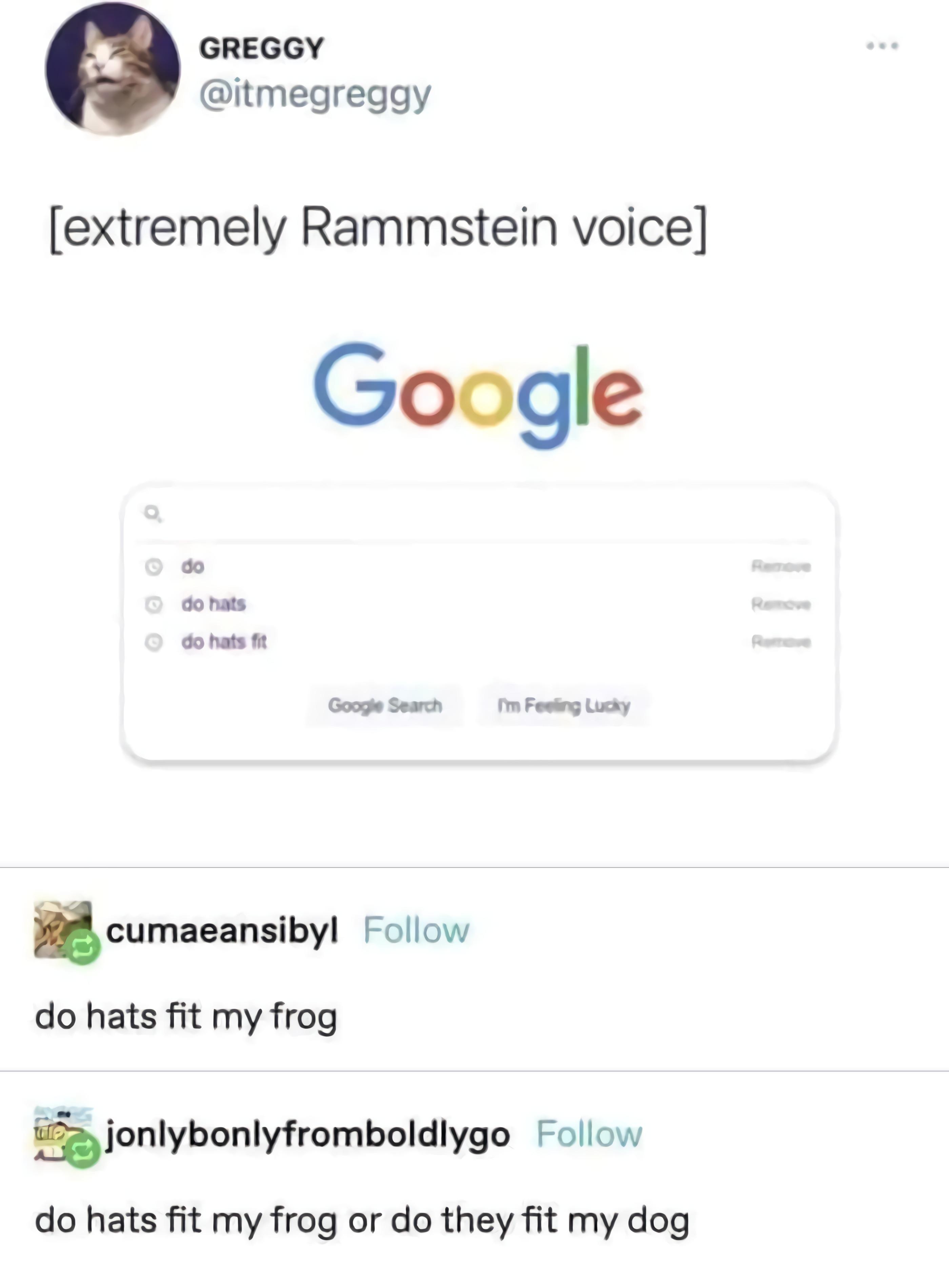 GREGGY itmegreggy extremely Rammstein voice Google GocgeSowen i Foveg ity icumaeanslbyl Follow do hats fit my frog sjonlybonlyfromboldlygo Follow do hats fit my frog or do they fit my dog