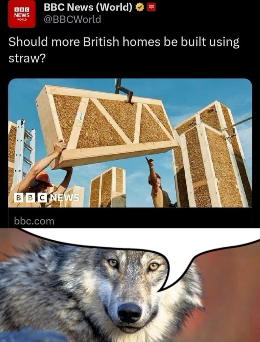 pos BBC News World 5 BBCWorld Should more British homes be built using straw