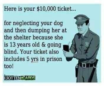 Here is your $10,000 ticket... for neglecting your dog and then dumping her at the shelter because she is 13 years old & going blind. Your ticket also includes 5 yrs in prison too!