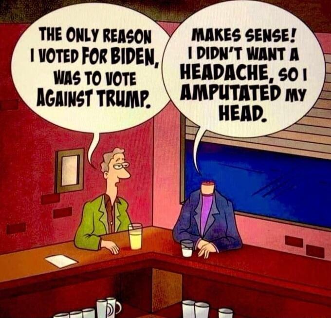 THE ONLY REASON lpl Elllsi 1VOTED FOR BIDEN T WANT A wasTovore MEADACHE 501 AGAINST TRUMP