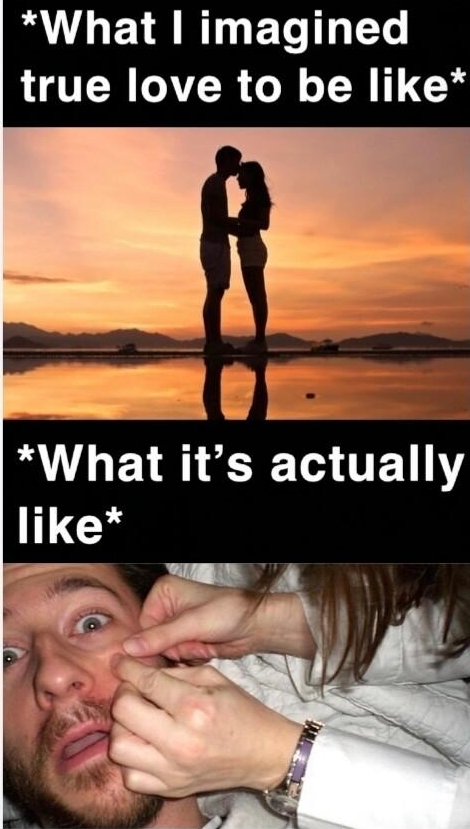 What imagined true love to be like W LEIRCE TR ELY like