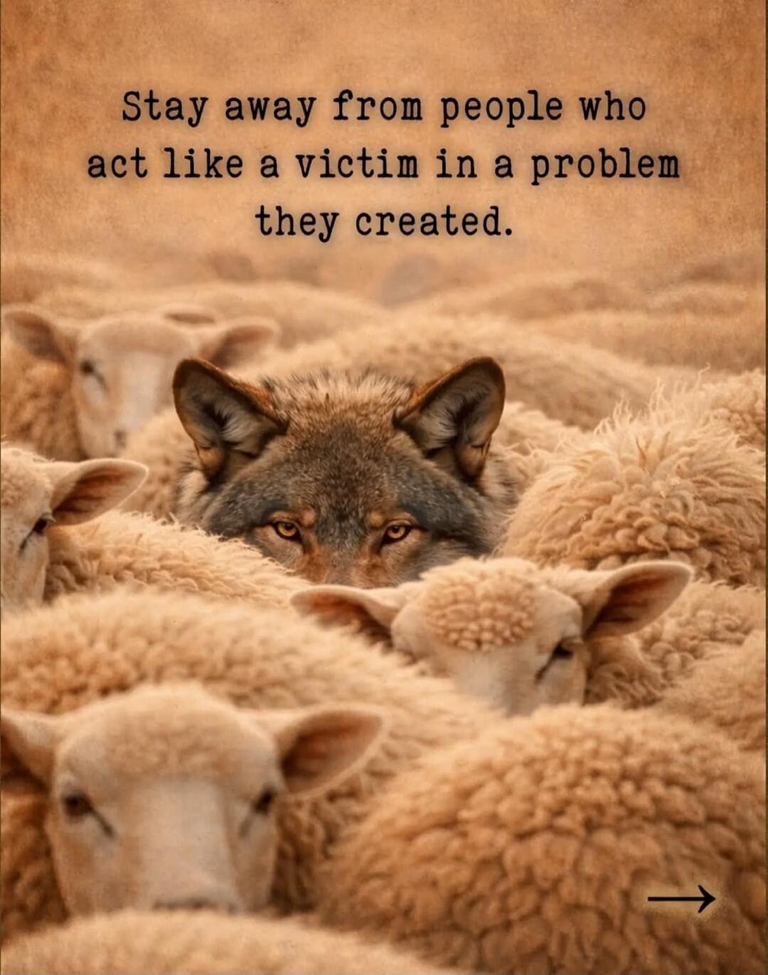 Stay away from people who act like a victim in a problem they created.