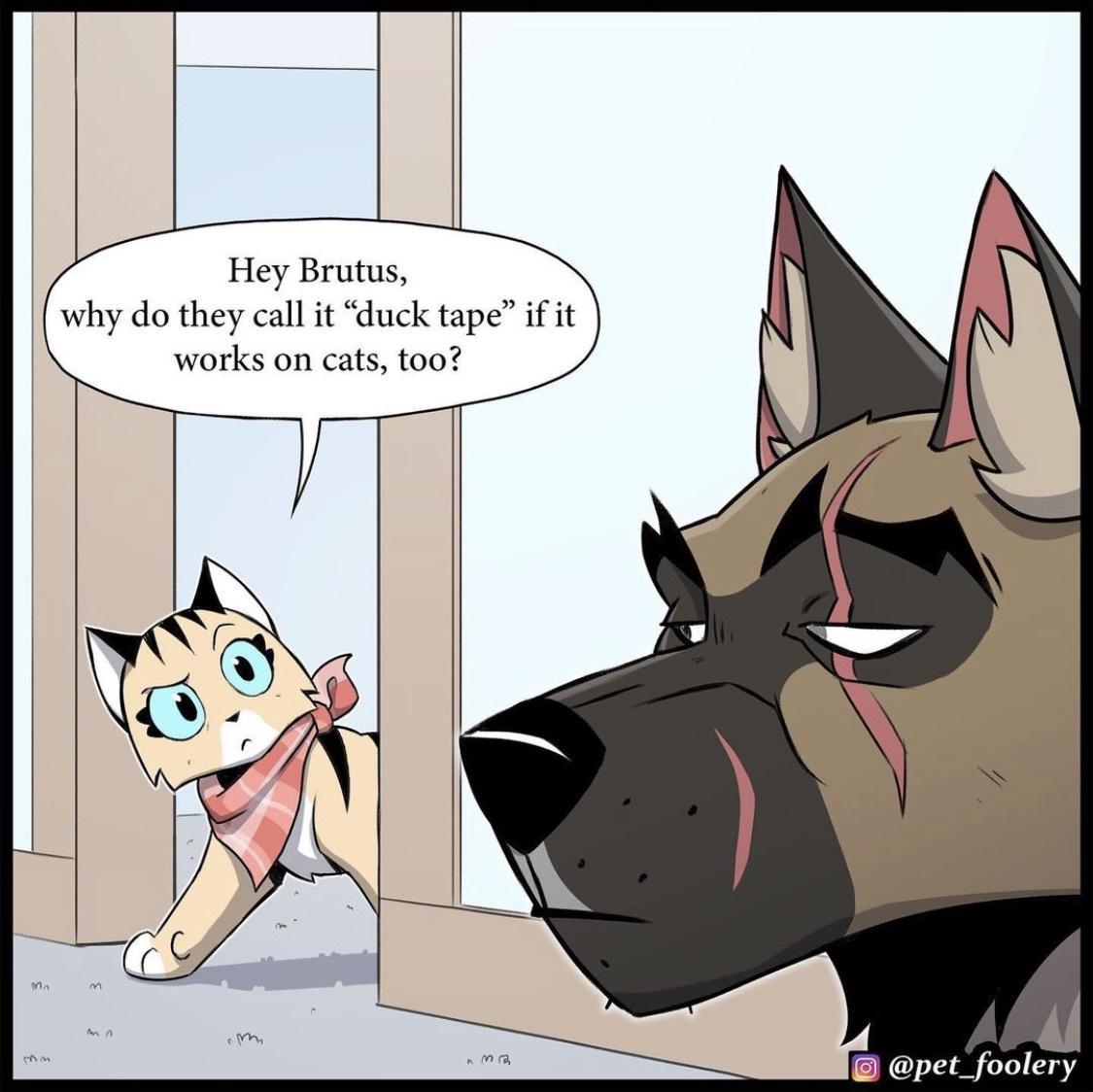 Hey Brutus they call it duck tape f it works on cats too