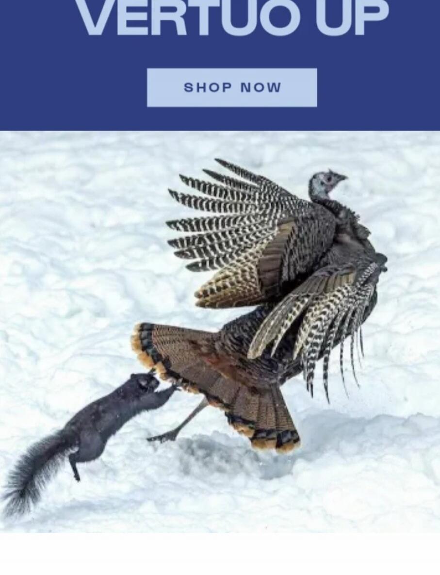 VERTUO UP SHOP NOW