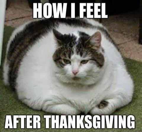 HOW I FEEL AFTER THANKSGIVING