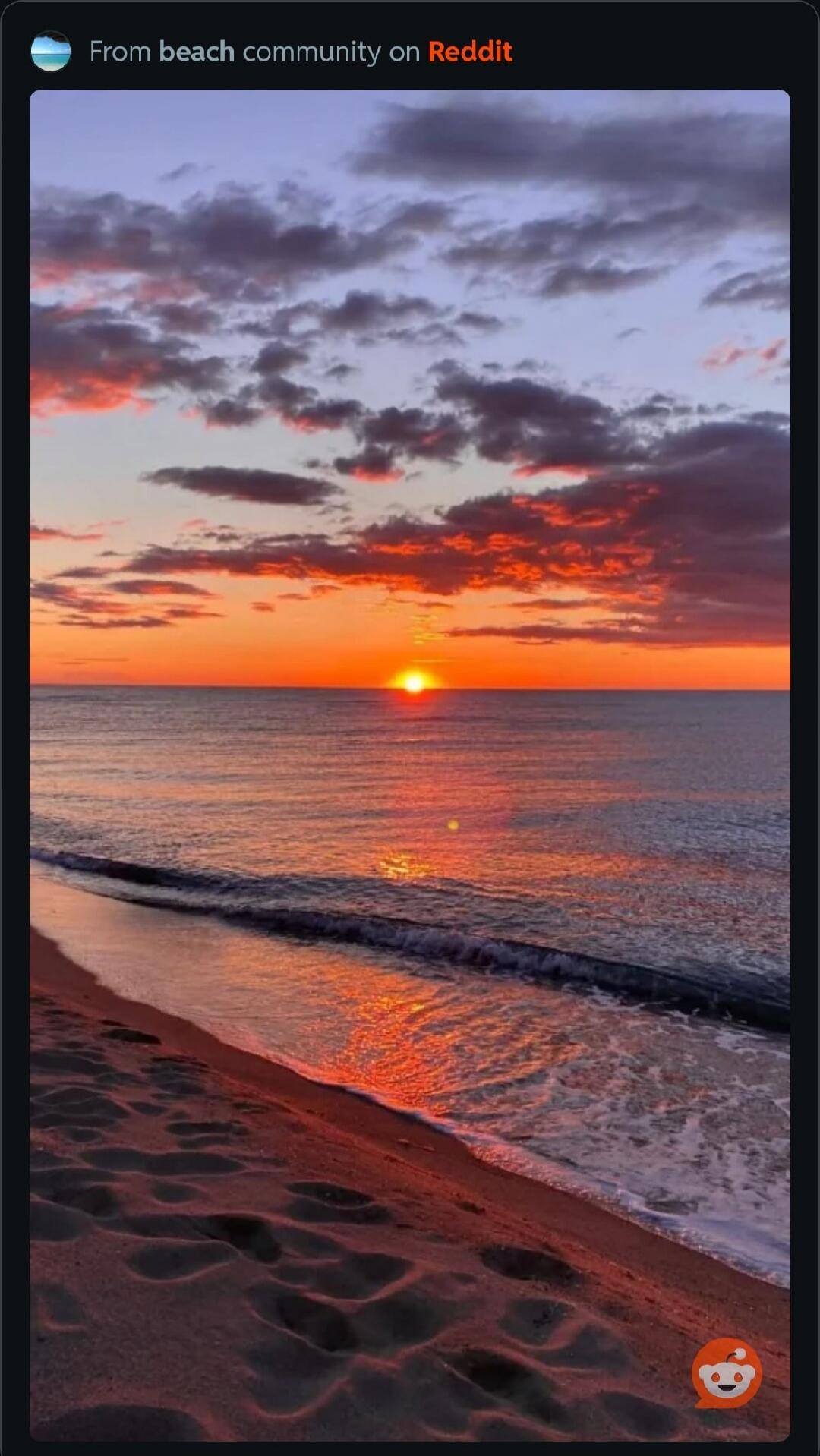 From beach community on Reddit