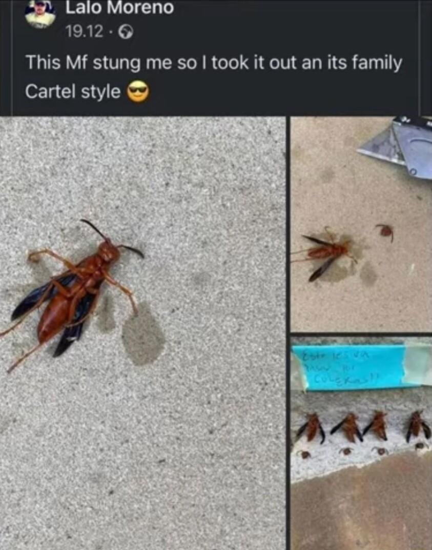 1912 6 This Mf stung me so took it out an its family Cartel style