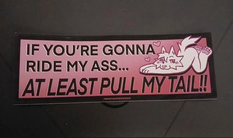 IF YOU'RE GONNA RIDE MY ASS... AT LEAST PULL MY TAIL!!