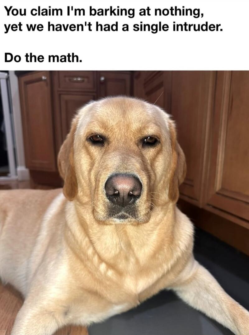 You claim I'm barking at nothing, yet we haven't had a single intruder. Do the math.