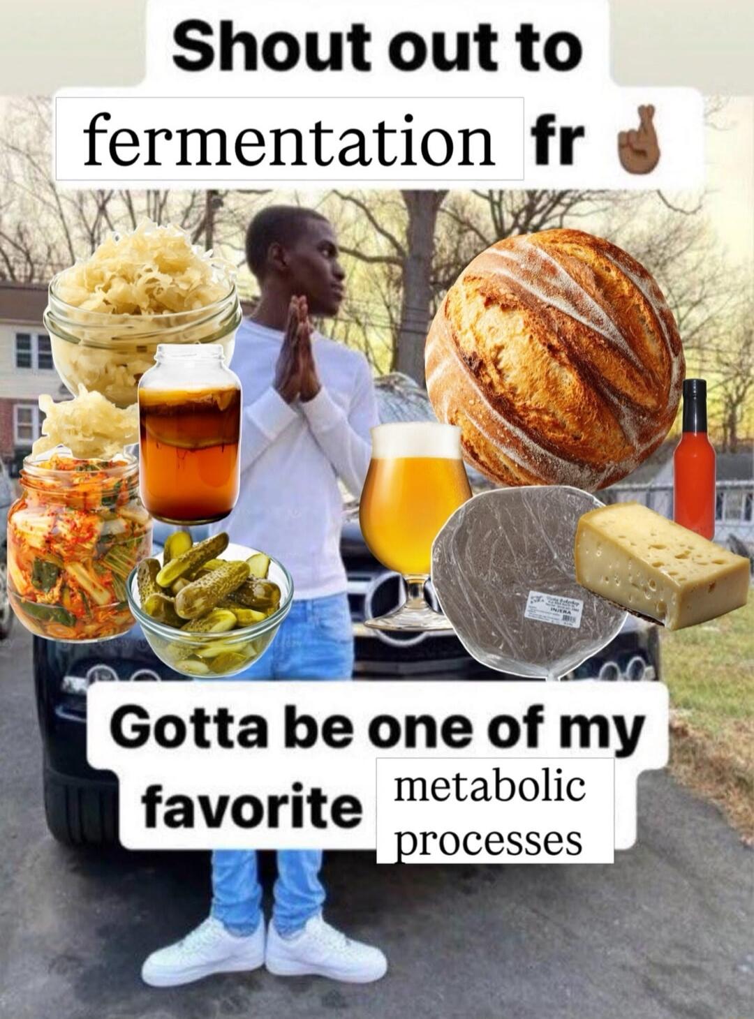 Shout out to fermentation fr Gotta be one of my favorite metabolic processes