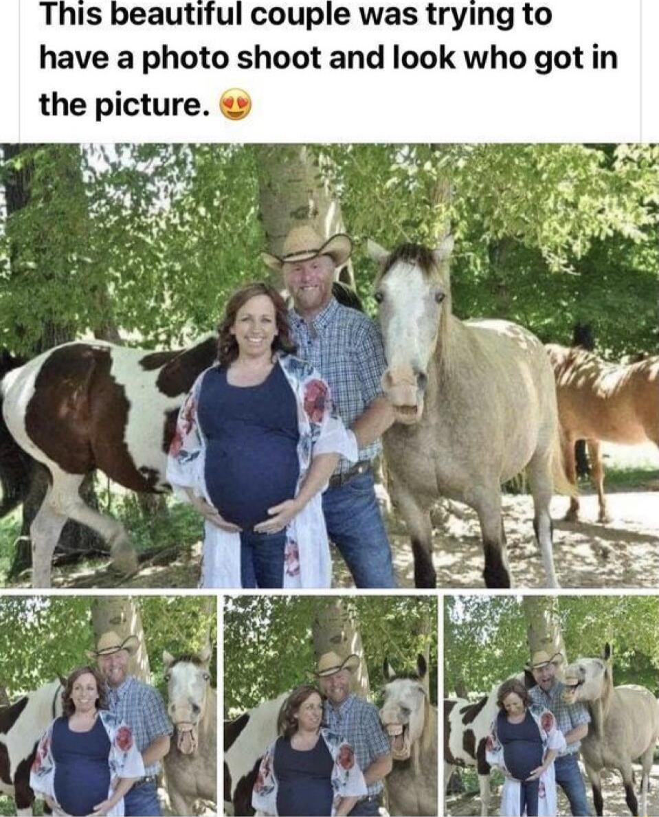 This beautiful couple was trying to have a photo shoot and look who got in the picture S