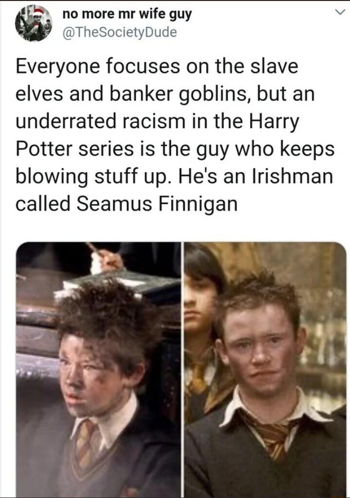 no more mr wife guy v TheSocietyDude Everyone focuses on the slave elves and banker goblins but an underrated racism in the Harry Potter series is the guy who keeps blowing stuff up Hes an Irishman called Seamus Finnigan