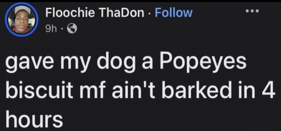 Floochie ThaDon Follow 9h gave my dog a Popeyes biscuit mf ain't barked in 4 hours