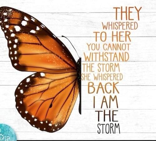 THEY WHISPERED TO HER YOU CANNOT WITHSTAND THE STORM SHE WHISPERED BACK I AM THE STORM