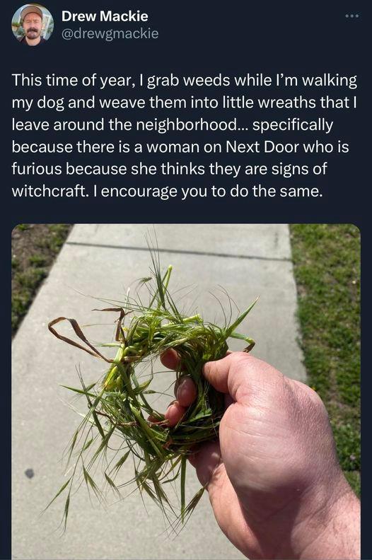 DI EEES drewgmackie This time of year grab weeds while Im walking my dog and weave them into little wreaths that CEVER I RUG TN TelgaToTole MRS Lt Tor1 11 because there is a woman on Next Door who is furious because she thinks they are signs of witchcraft encourage you to do the same