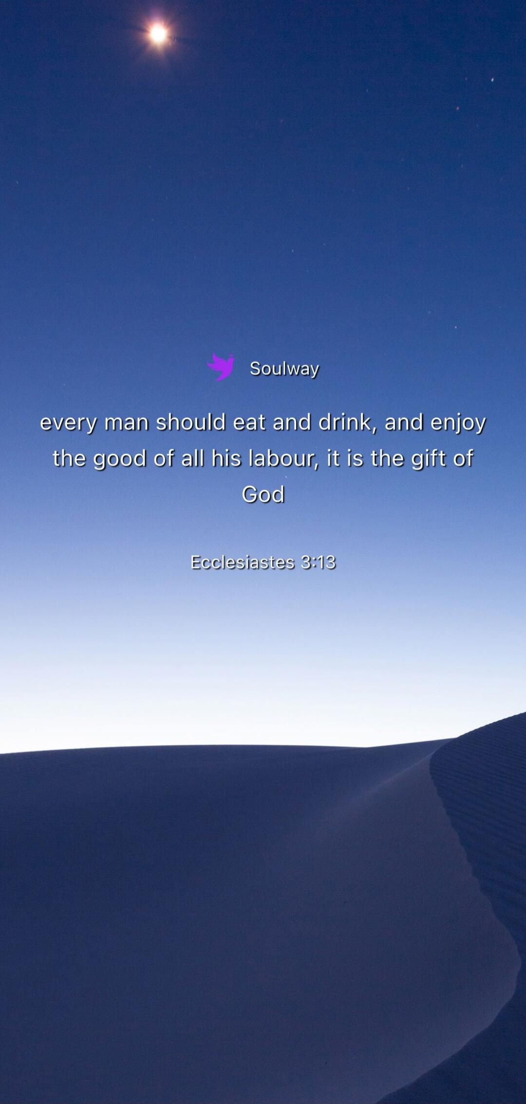 Soulway every man should eat and drink, and enjoy the good of all his labour, it is the gift of God Ecclesiastes 3:13