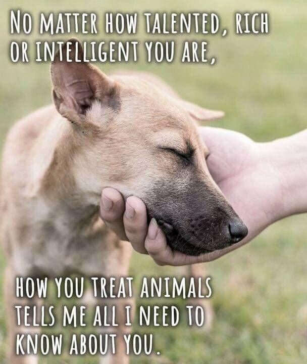 NOIMATTERHOWTALENTEDRICH k 4 ATANI ALS TllSM A INEEDTO