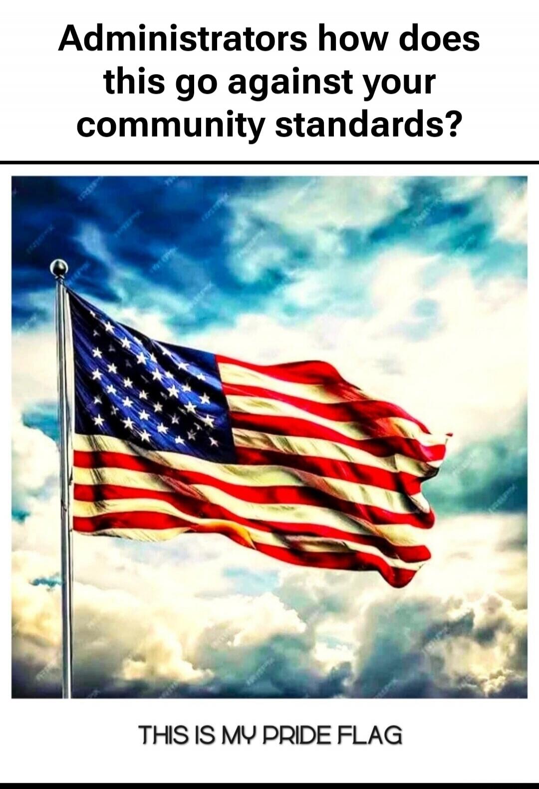 Administrators how does this go against your community standards? THIS IS MY PRIDE FLAG