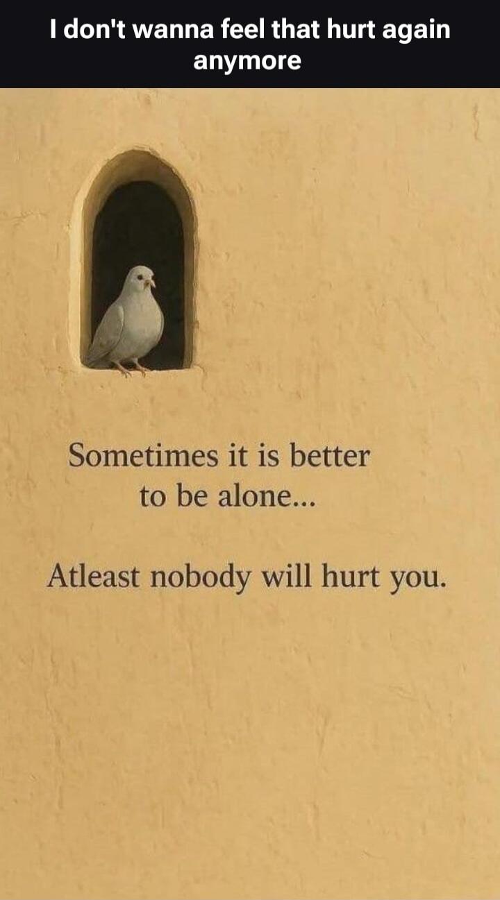 I don't wanna feel that hurt again anymore
Sometimes it is better to be alone...
Atleast nobody will hurt you.