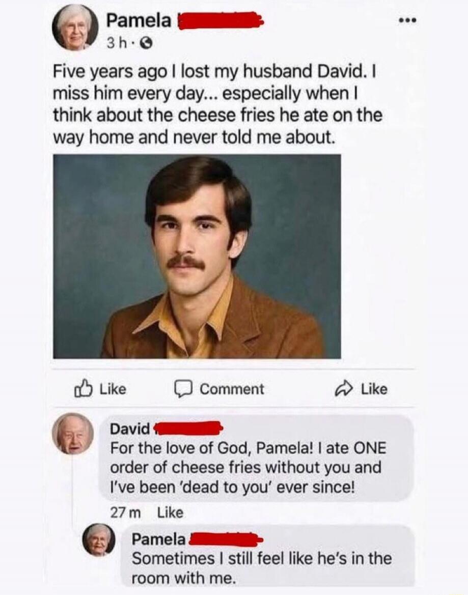 Pamela 3h. Five years ago I lost my husband David. I miss him every day... especially when I think about the cheese fries he ate on the way home and never told me about. David 27m. For the love of God, Pamela! I ate ONE order of cheese fries without you and I've been 'dead to you' ever since! Pamela. Sometimes I still feel like he's in the room wit