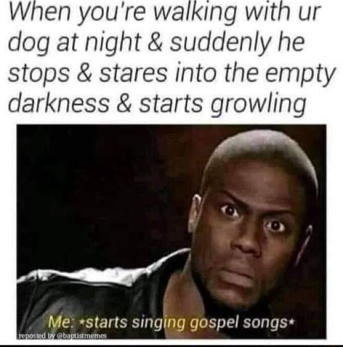 When youre walking with ur dog at night suddenly he stops stares into the empty darkness starts growling starts singing gospel songs