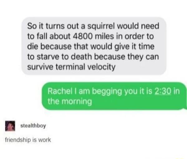 So it turns out a squirrel would need to fall about 4800 miles in order to die because that would give it time to starve to death because they can survive terminal velocity I seoinboy friendship is work