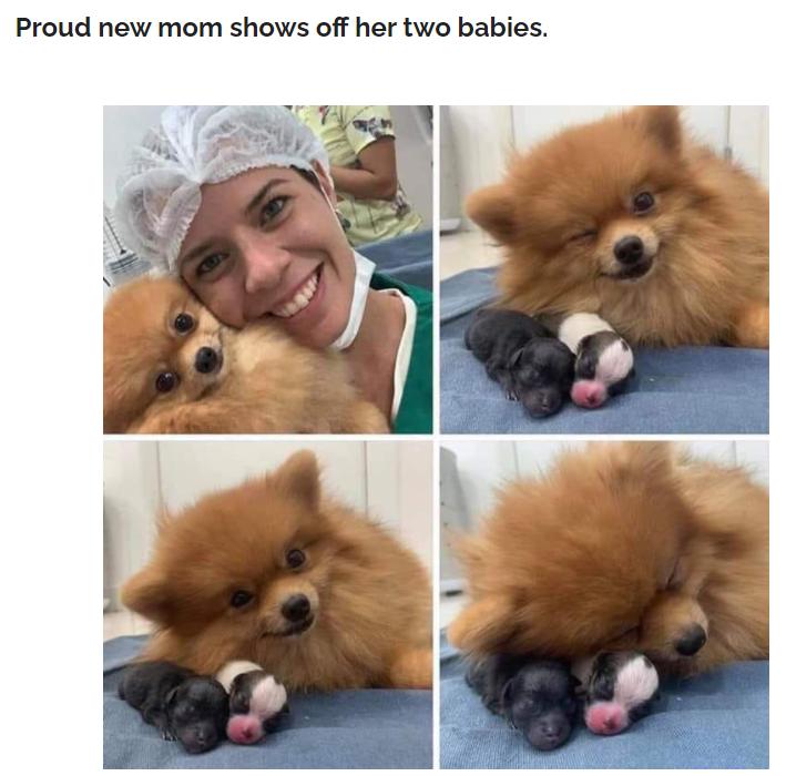 Proud new mom shows off her two babies