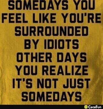 SOMEDAYS YOU FEEL LIKE YOU'RE SURROUNDED BY IDIOTS OTHER DAYS YOU REALIZE IT'S NOT JUST SOMEDAYS