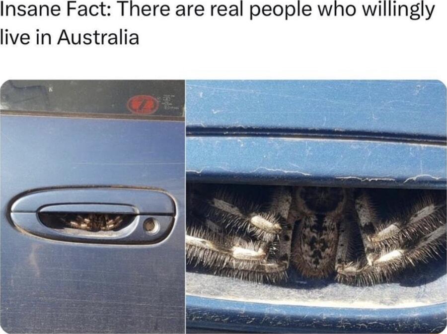 Insane Fact There are real people who willingly live in Australia