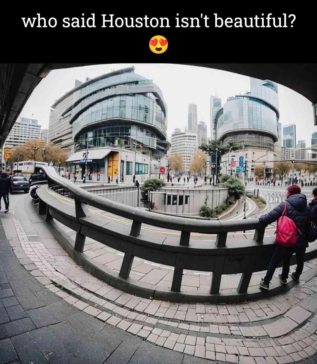 who said Houston isnt beautiful