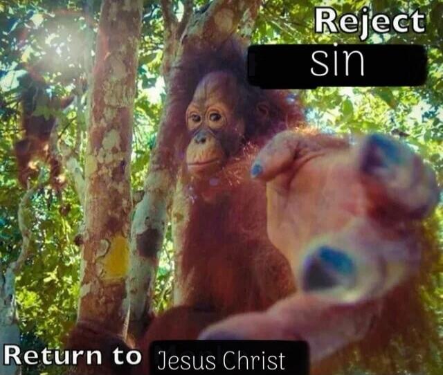 Reject sin\nReturn to Jesus Christ