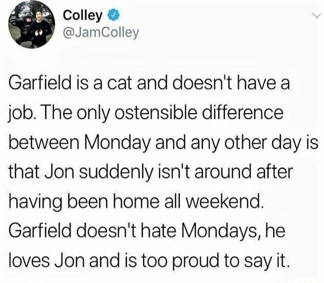 Colley JamColley Garfield is a cat and doesnt have a job The only ostensible difference between Monday and any other day is that Jon suddenly isnt around after having been home all weekend Garfield doesnt hate Mondays he loves Jon and is too proud to say it