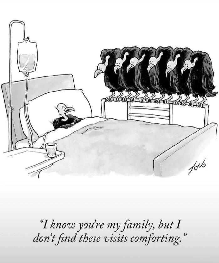 I know you're my family, but I don't find these visits comforting.